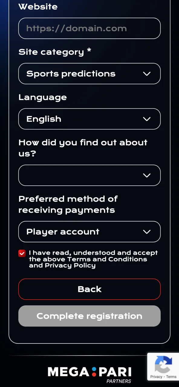 Megapari requires traffic sources verticals and GEO setup for review.
