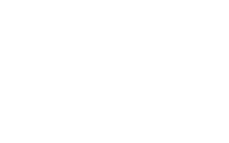Megapari ensures privacy with biometric login and encrypted sessions for security.