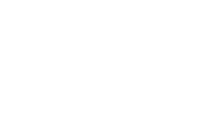 Work with a Megapari affiliate manager to improve performance and run campaigns smoothly.