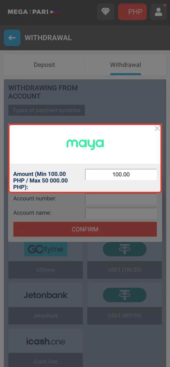 Input your PHP amount on Megapari and confirm your payment method or crypto address.